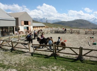  Pony activities for children in the Alps 